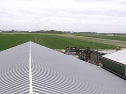 Vervangen dakplaten bloembollenloods