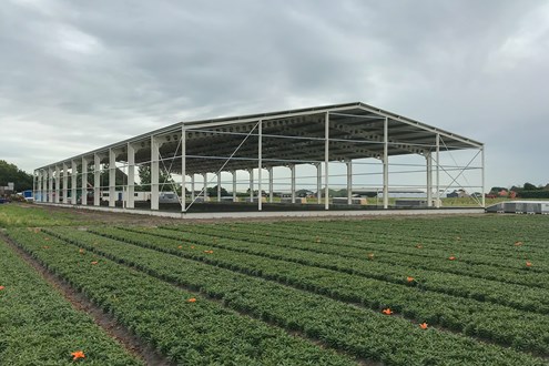 Nieuwbouw bloembollenbedrijf 3150m2